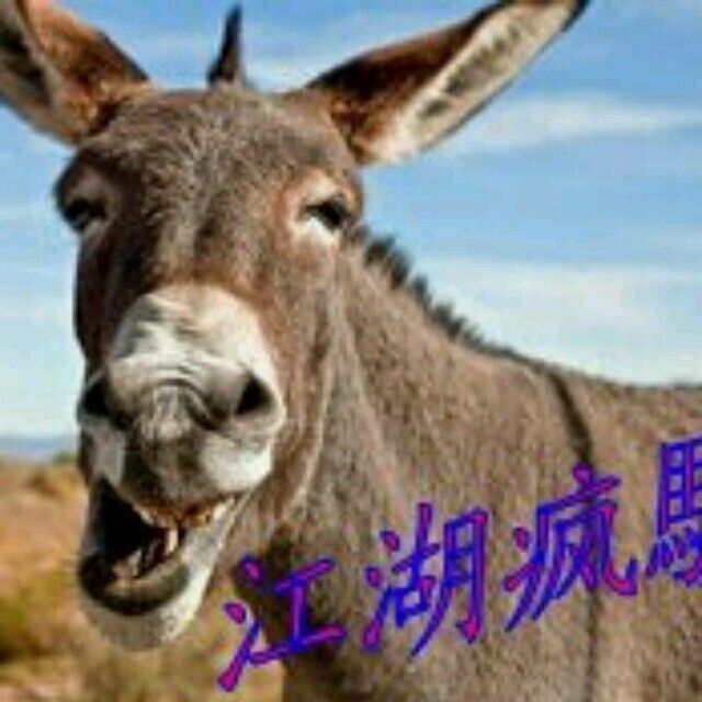姐的身材没人敢比的主播照片