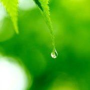 春天~偶遇~