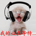幽冥预约客{千觞}主播照片