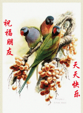 永远挂号主播照片