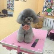 華名品的頭像