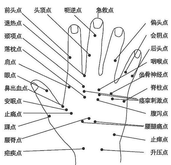 萧萧之声....主播照片