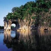 ︶奶黄包〆小阳海报