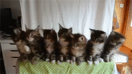 ゞ⭐家在火星⭐主播照片