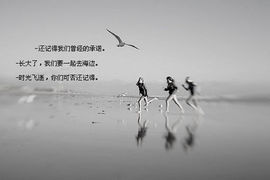 ♥╭Tt丶孤狼♥╭主播照片
