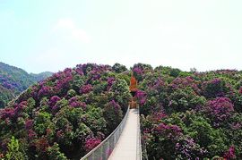 永远挂号主播照片