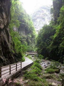 妗吟★滿鹳★主播照片