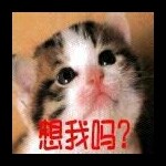 大土司