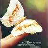 ￡殘￡凍結回憶＆