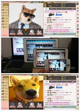 ｡oO小♥主Oo｡主播照片
