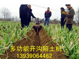 nongfenga主播照片