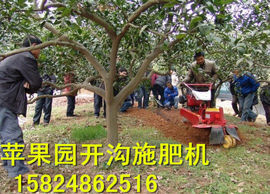 nongfenga主播照片