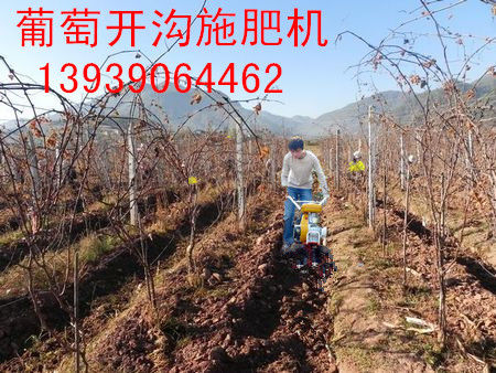 nongfenga的主播照片