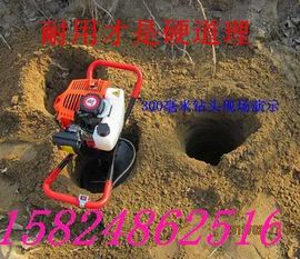 nongfenga主播照片