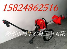 nongfenga主播照片