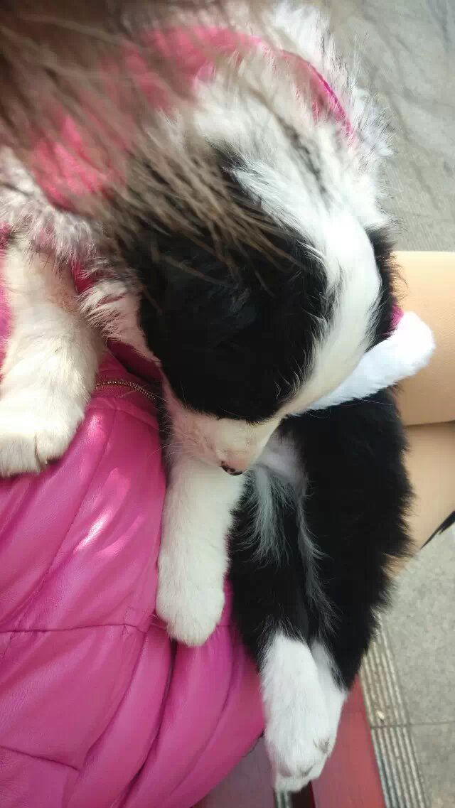 孙雨梦的主播照片