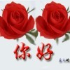 小邓子v