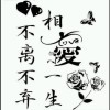 等待E缘分