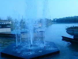 ❤の流着泪爱你主播照片