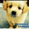 茶ヾ°喝到没味zc