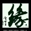 熊出没之笨笨熊