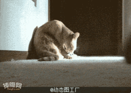 正在泡妞勿扰主播照片