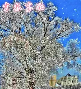 love☆雪儿☆主播照片