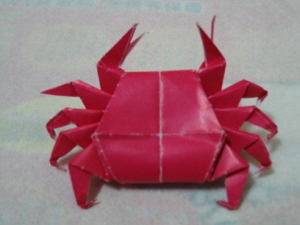 潛在空氣中的笨笨魚(yú)的主播照片