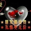 神鹰ls