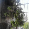 无风的沙漠i