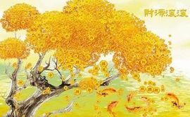 心灵时空主播照片