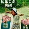シ學繪ぷ紾悕海报
