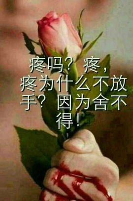 —＝☆＿主播照片