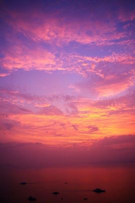 柒月鱼荷主播照片