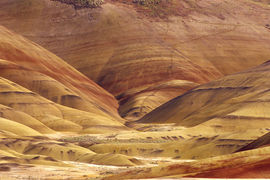 柒月鱼荷主播照片