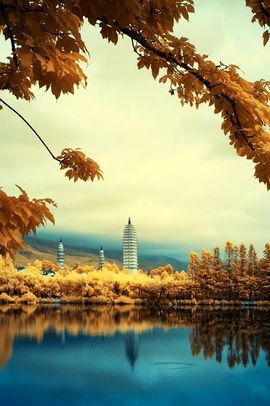 柒月鱼荷主播照片