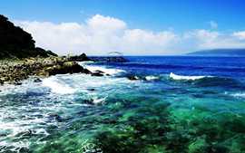 柒月鱼荷主播照片