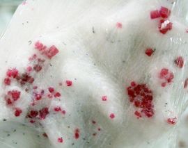 翠被冷落凄余馨主播照片