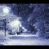 一缕清韵
