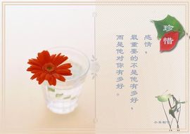 飞利浦大爷主播照片