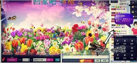嘉宝卖翡翠主播照片