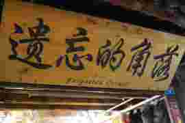 神知h主播照片