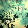 千夏の觅海报