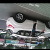 爱妳无悔$
