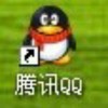 0橄榄树2