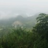 愤怒的家雀儿海报