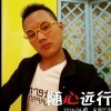 寂寞的王子c海报