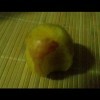 _过去回不去罒罒