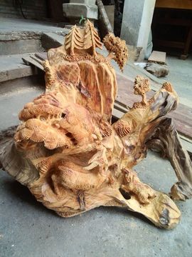 老虎爱上猫咪520主播照片