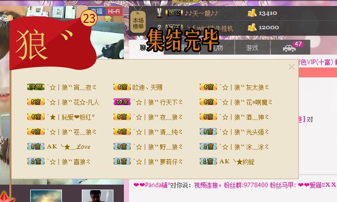 傲娇的胖胖猫的图片